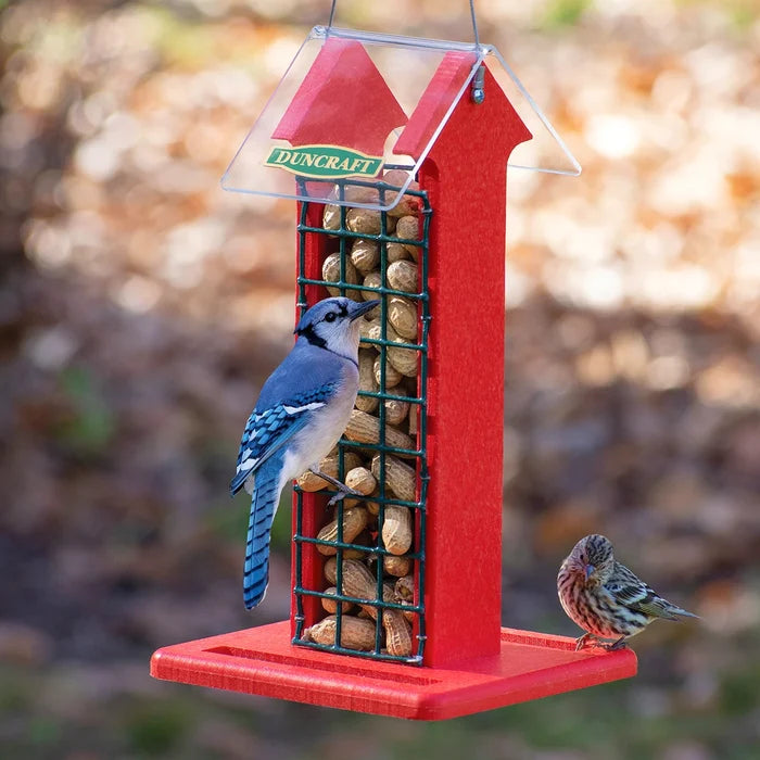 Red Arrow Whole Peanut Feeder with a blue jay eating a peanut and a finch on the tray, featuring a red house shape and wire mesh grid.