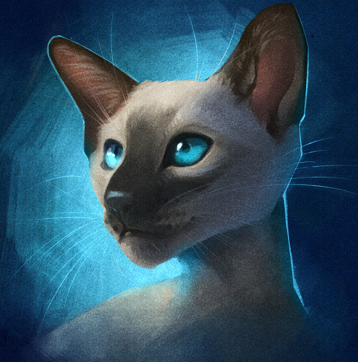 Siamese