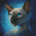 Siamese