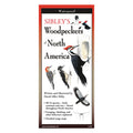 Close-up of Sibley's Woodpeckers of North America Folding Guide featuring bird illustrations and species captions for easy identification.