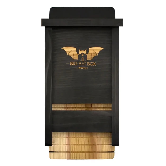 Single Chamber Bat House, Black, features a cedar construction with ventilation slots, rough landing strip, and bat silhouette, ideal for eco-friendly backyard mosquito control.