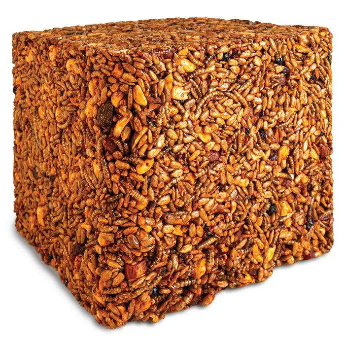 Sizzling Nuts & Bugs Jumbo Seed Block: a dense bird feed cake with seeds, mealworms, nuts, and fruit, designed to attract birds while deterring squirrels.