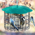 Squirrel Defeater Double Suet Cage Feeder with a green roof, black wire cage, and small birds feeding, designed to deter squirrels and hold two suet cakes.