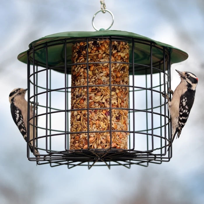Squirrel Defeater Seed Log Bird Feeder with metal cage and green roof, housing a seed cylinder. Two woodpeckers feed, demonstrating its bird-friendly design.