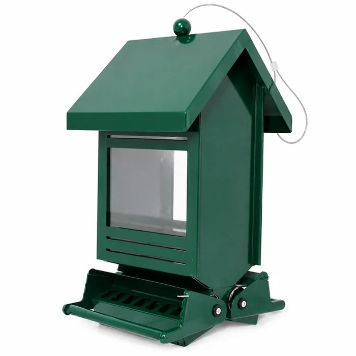 Green metal bird feeder with weather-resistant finish, angled side view showing clear seed window, roof, perch, and hanging cable.