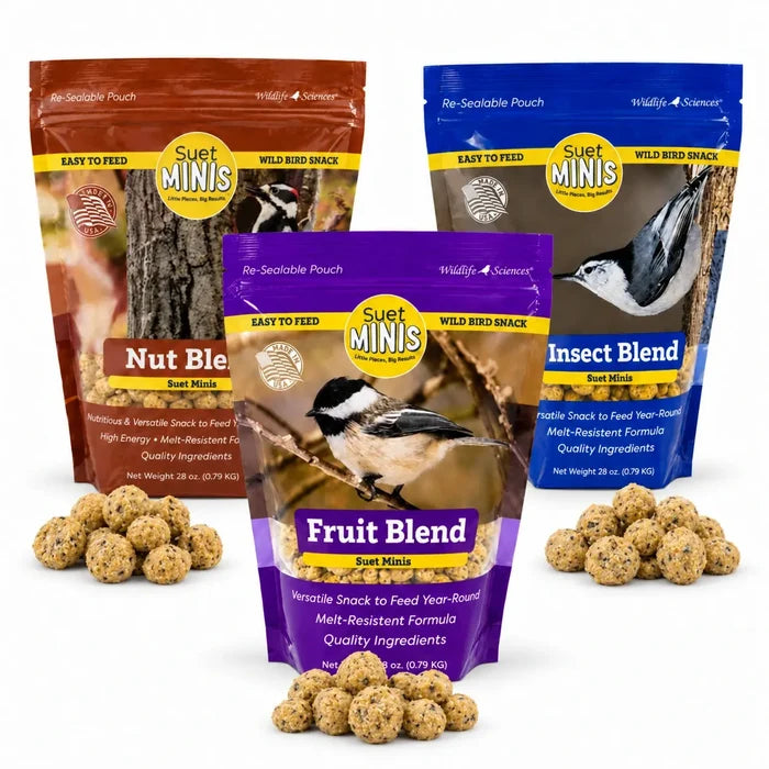 Suet Minis Sampler, Set of 3