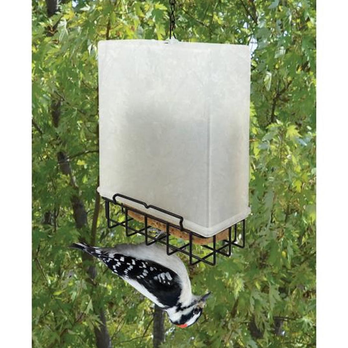 Suet Saver Feeder with a plastic rain-cover, showcasing a woodpecker feeding upside down, designed to attract desirable birds while deterring others.