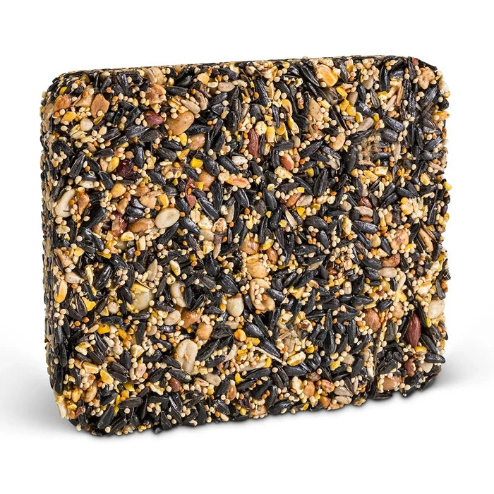 Superior Blend Seed Cake for wild birds, a rectangular block of seeds and nuts, ideal for diverse bird feeding in various feeder types.