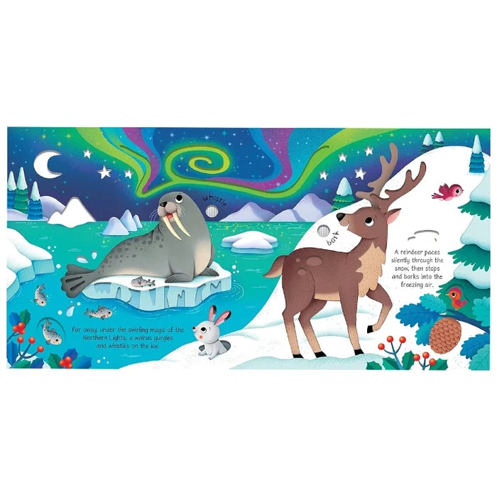 Wild Animals Sound Book by Sam Taplin: A vivid Arctic scene featuring a walrus, reindeer, and Northern Lights, enhancing interactive animal sound exploration.