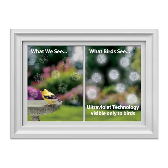 Comparison of what humans and birds see, using ultraviolet technology, with a bird perched on a feeder.